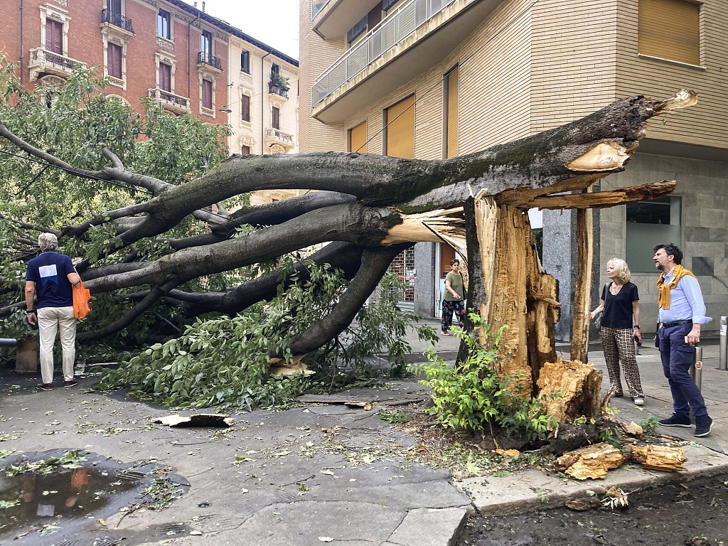 People look at a fallen tree following a strong storm, in Milan, Italy, July 25, 2023. /CFP