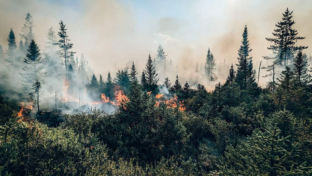 Fire logged as 593 in central Quebec Province, Canada on July 21, 2023. /CFP
