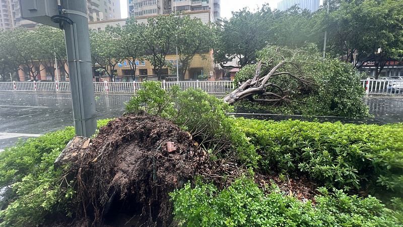 Live: Typhoon Doksuri makes landfall in southeast China