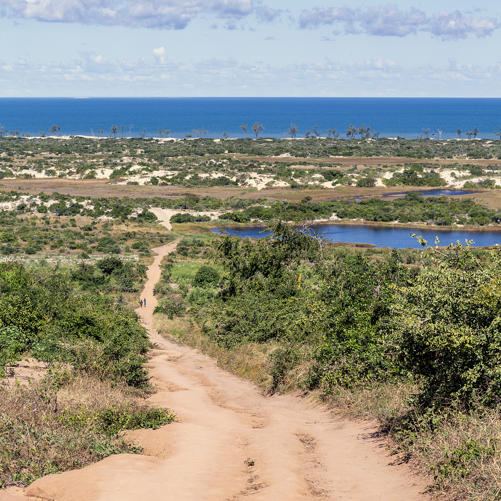 A path leading to the Mozambique coast. /CFP