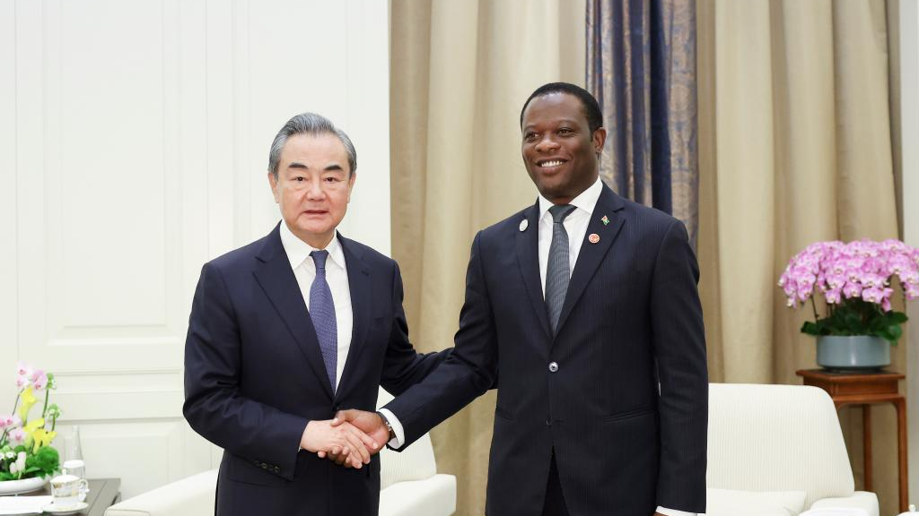 Wang Yi (L), director of the Office of the Central Commission for Foreign Affairs and Chinese foreign minister, meets with Hugh Todd, minister of foreign affairs of the Cooperative Republic of Guyana, in Chengdu, capital city of southwest China's Sichuan Province, July 28, 2023. /Xinhua