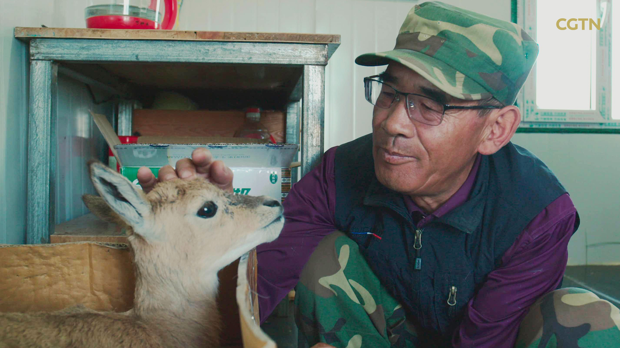 CGTN Nature to release 'Journeys in Nature: Super Nanny Series'