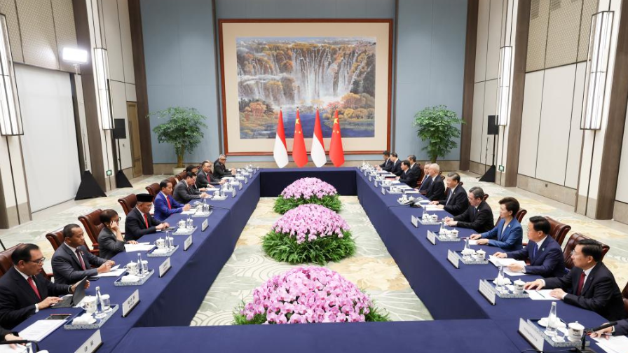 Chinese President Xi Jinping holds talks with Indonesian President Joko Widodo in Chengdu, Sichuan Province, China, July 27, 2023. /Xinhua