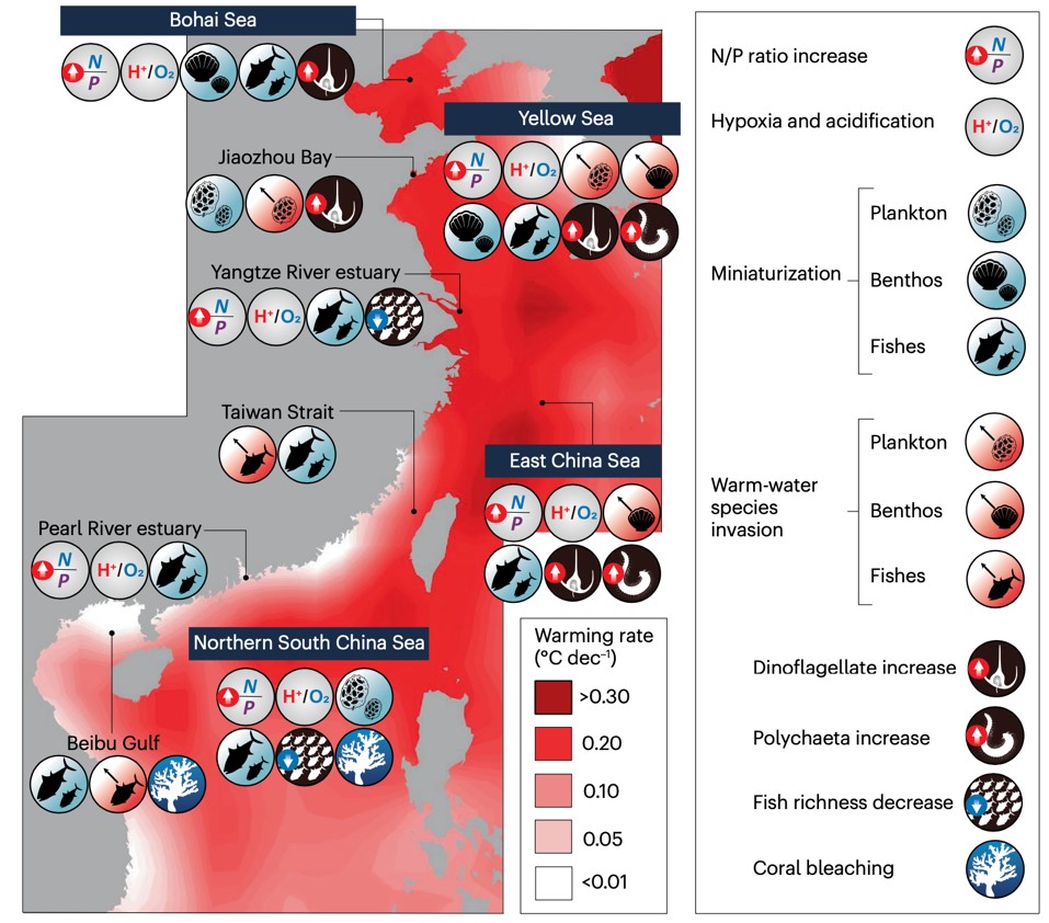 The trends in the seas around China, including warming rate, fish richness decrease, coral bleaching and so on. /CAS's Institute of Oceanology