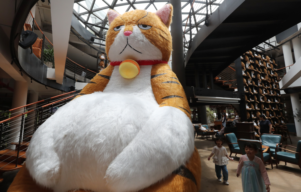 A giant cat is placed in a restaurant in Kunming, Yunnan Province on July 29, 2023. /CFP