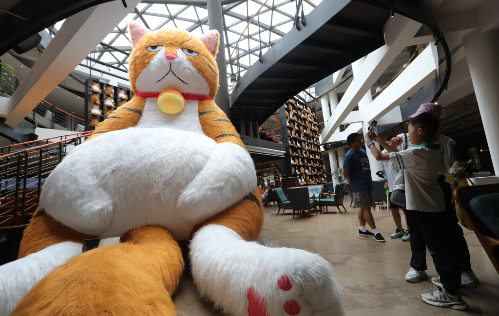 A giant cat is placed in a restaurant in Kunming, Yunnan Province on July 29, 2023. /CFP