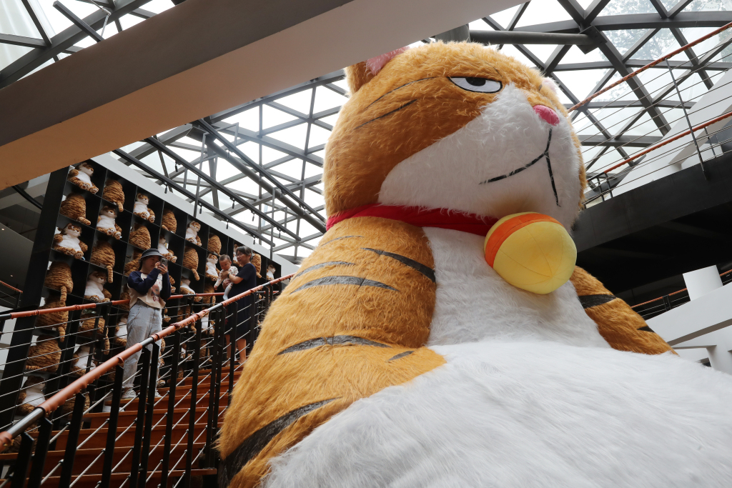 A giant cat is placed in a restaurant in Kunming, Yunnan Province on July 29, 2023. /CFP