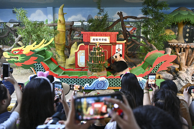 Visitors take photo of the giant panda 