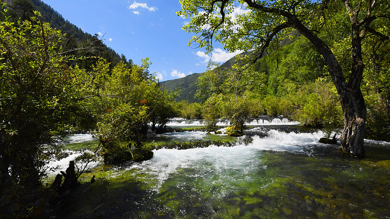 Live: Unwind with a serene view of Shuzheng Valley's lakes and waterfalls