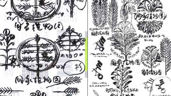 The screenshot shows the design drafts of China National Botanical Garden's logo. /CGTN