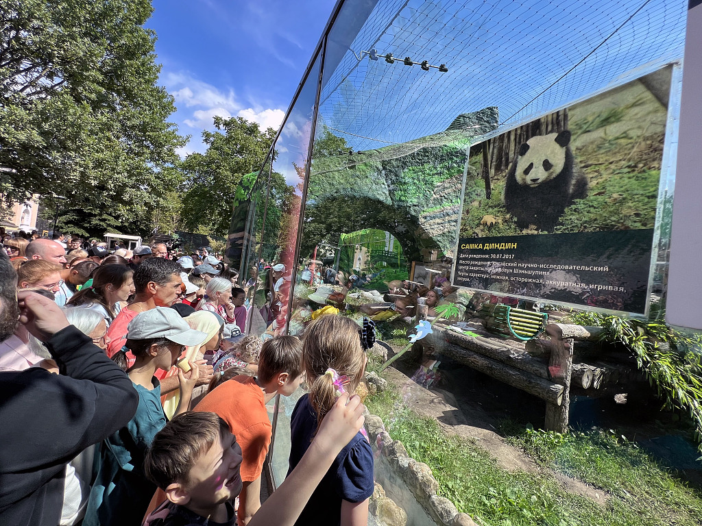 Visitors at the Moscow Zoo celebrate the birthdays for giant pandas Ding Ding and Ru Yi in Russia, on July 30, 2023. /CFP