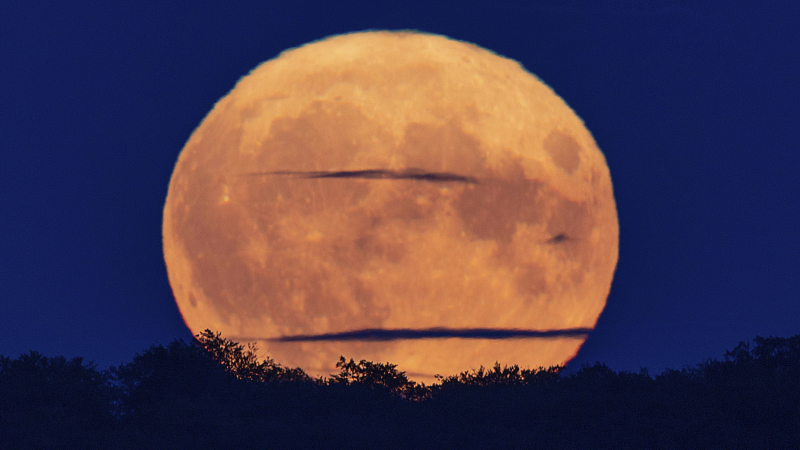 The full moon rises over the Schwerin lake in Mecklenburg-Vorpopmmern, Germany, August 1, 2023. /CFP