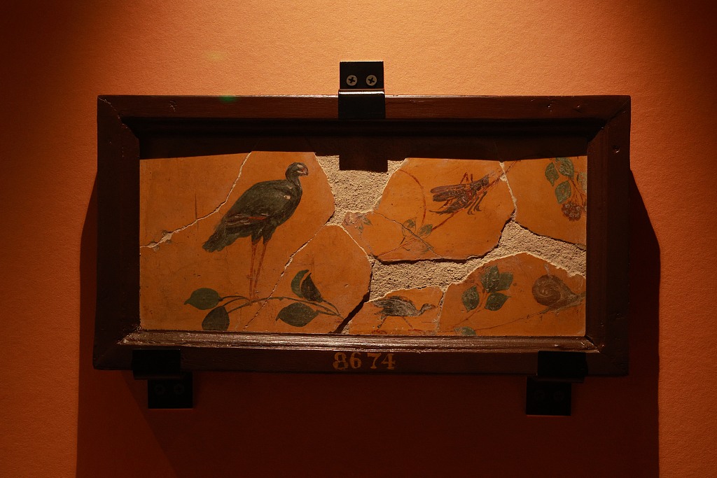 Fragments of frescoes featuring birds and leaves are on display at an exhibition on ancient Roman culture at the Nanshan Museum in Shenzhen, south China's Guangdong Province, August 2, 2023. /CFP