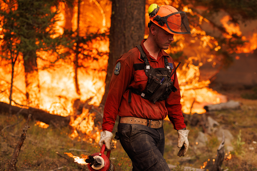 A member of the BC Wildfire Service Fraser Unit Crew uses a drip torch to set a planned ignition on the Ross Moore Lake wildfire in Kamloops, British Columbia, Canada, July 28, 2023. /CFP