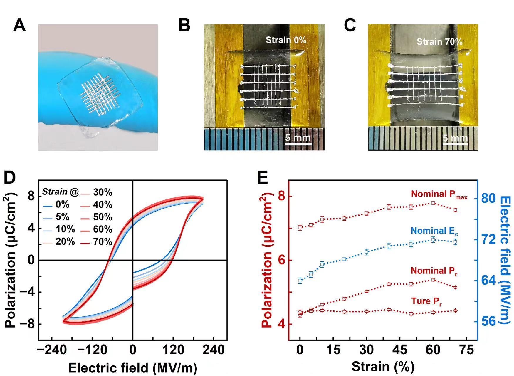 Lab results of the material's stable ferroelectric response under mechanical deformation up to 70 percent strain. /CMG