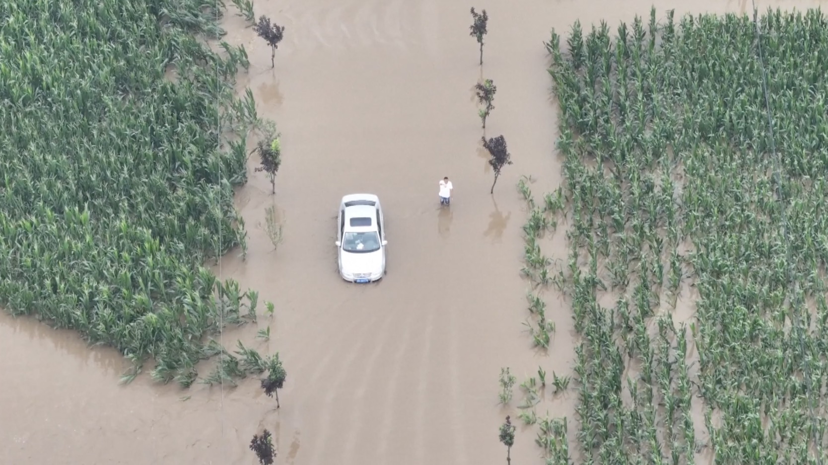 A vehicle wading through floodwater. /CGTN