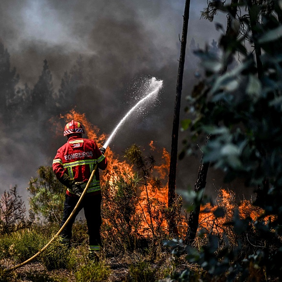 Portugal battles wildfires amid searing heat CGTN