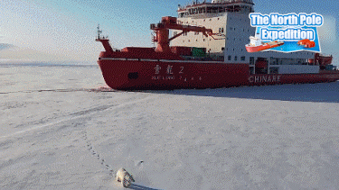 File GIF of when a polar bear encounters the Xuelong-2 icebreaker. /CMG