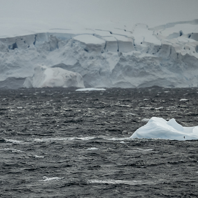 Even frozen Antarctica is being walloped by climate extremes, scientists  find, Science