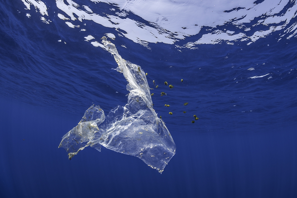 The study estimates that pieces of plastic bigger than 25 millimeters make up over 95 percent of plastic floating in the ocean. /CFP