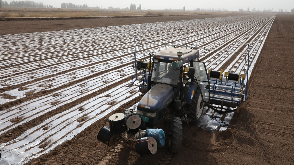 Planting cotton in Alar, Xinjiang Uygur Autonomous Region, April 15, 2023. /CFP 