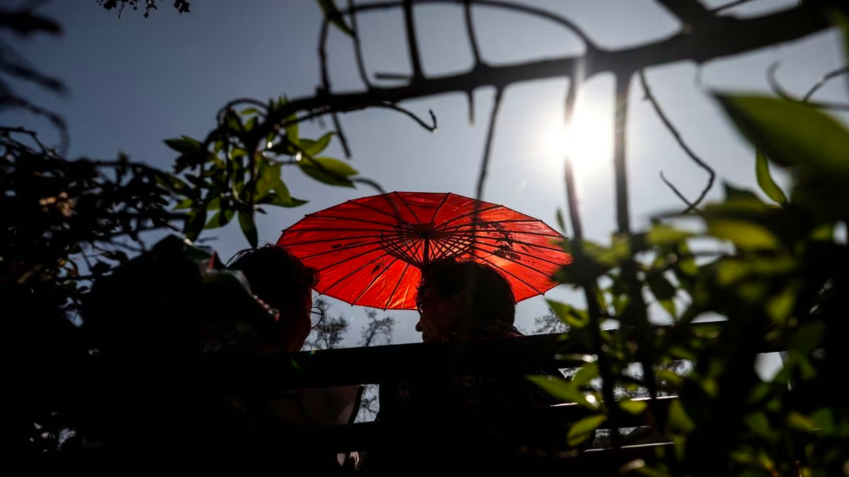 A woman uses an umbrella during an unusual winter period heatwave in Santiago, Chile, August 3, 2023. /Reuters 