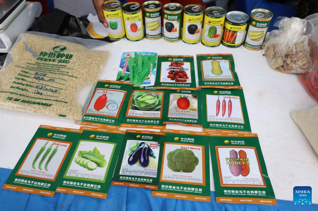 The photo shows a variety of seeds displayed at the booth of the Chinese agricultural experts at the national agriculture exhibition in Jinja, Uganda, August 8, 2023. /Xinhua