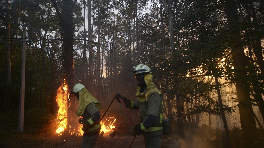 BizDataDive: Global economy under severe stress from heat waves