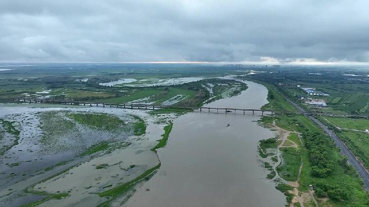 China ramps up efforts to prevent typhoon-induced crop lodging - CGTN