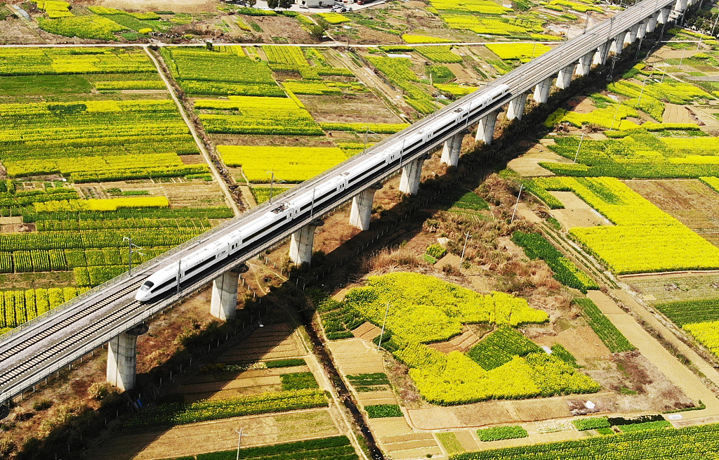 This photo shows a high-speed railway line through fields of rapeseed blossoms in Jiujiang, Jiangxi Province. /CFP