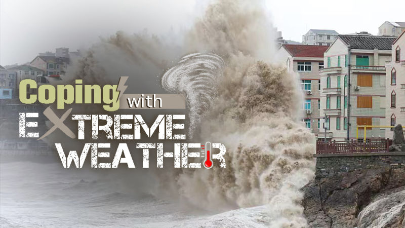 Global warming causes fewer but stronger tropical cyclones 