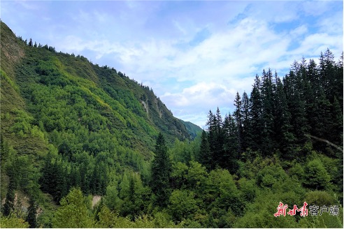 Hills along Bailongjiang, 2023. /Xinhua
