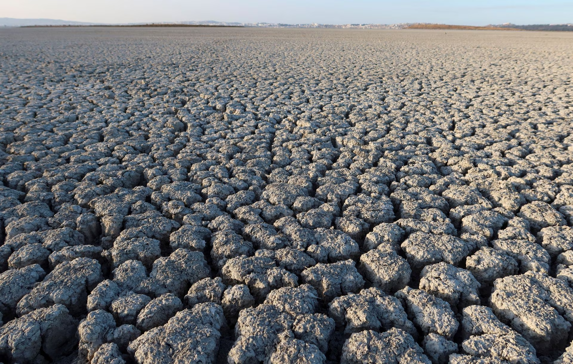 A view shows cracked ground at a dried-out part of the Sijoumi lagoon in Tunis, Tunisia, August 10, 2023. /Reuters