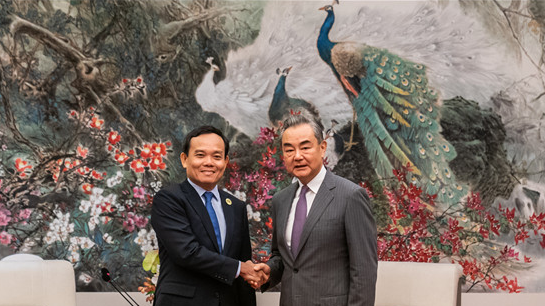 Vietnamese Deputy Prime Minister Tran Luu Quang shakes hands with Wang Yi (R), a member of the Political Bureau of the Communist Party of China Central Committee and director of the Office of the Central Commission for Foreign Affairs, in Kunming, southwest China's Yunnan Province, August 16, 2023. /Chinese Foreign Ministry