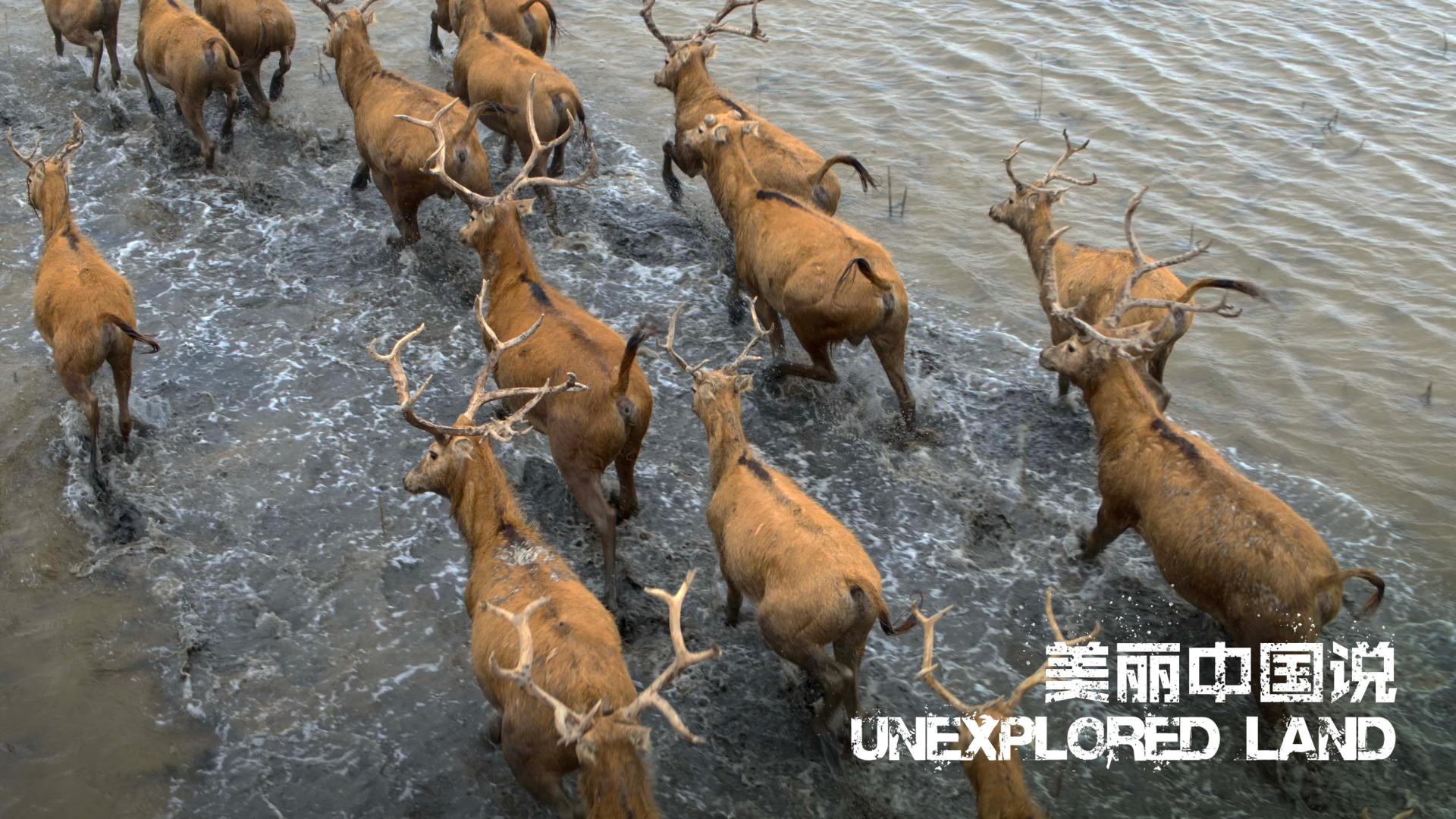 Unexplored Land It's all about love CGTN