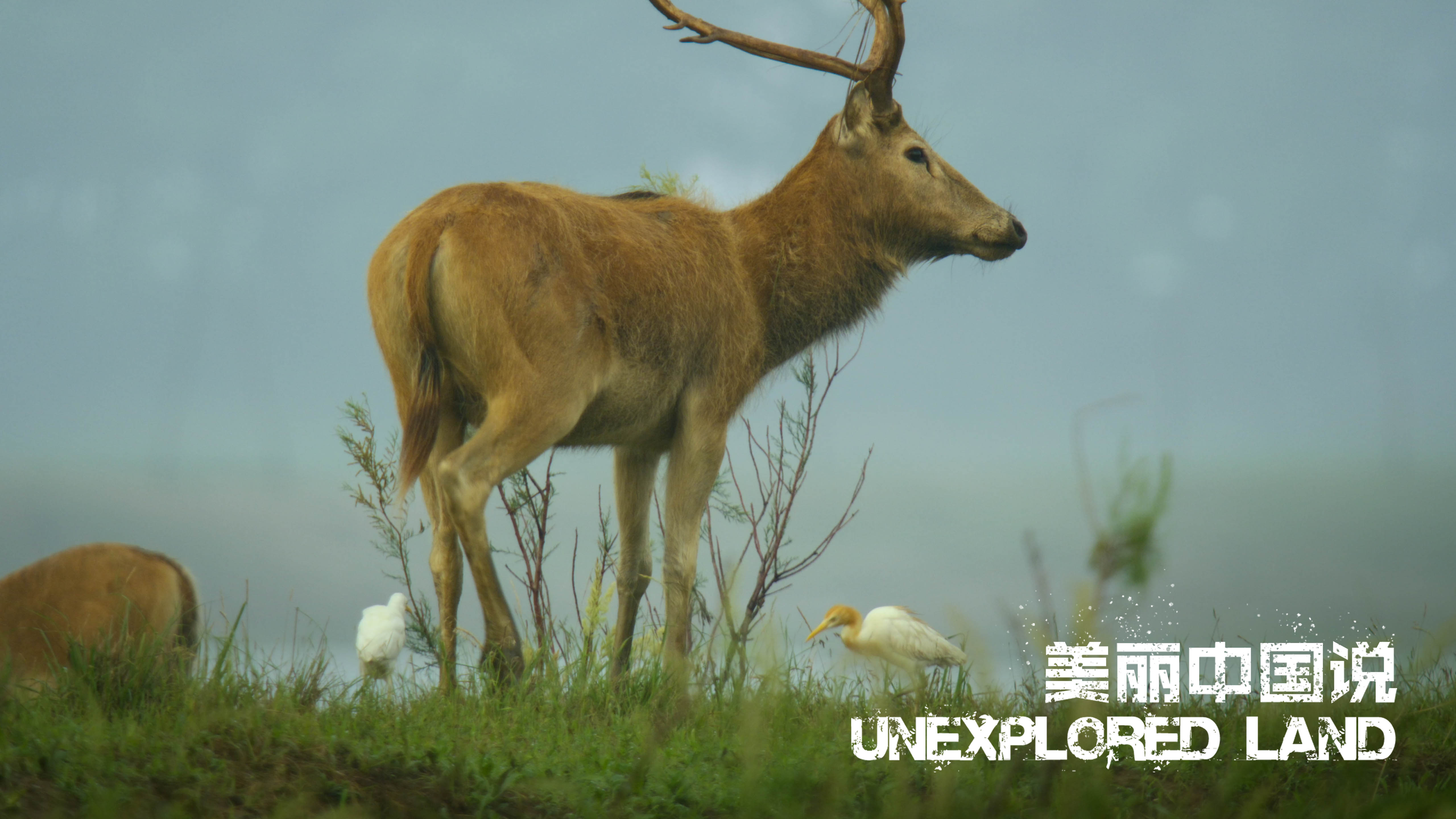 Unexplored Land: It's all about love