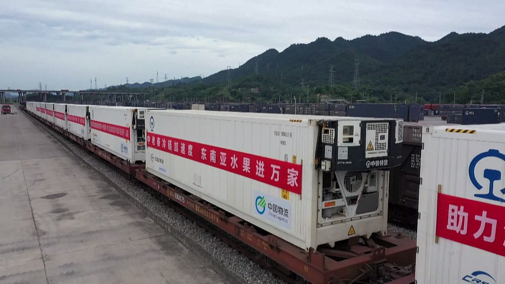 A freight train carrying durians from Thailand via the China-Laos Railway arrives in Chongqing Municipality, June 11, 2023. /CFP