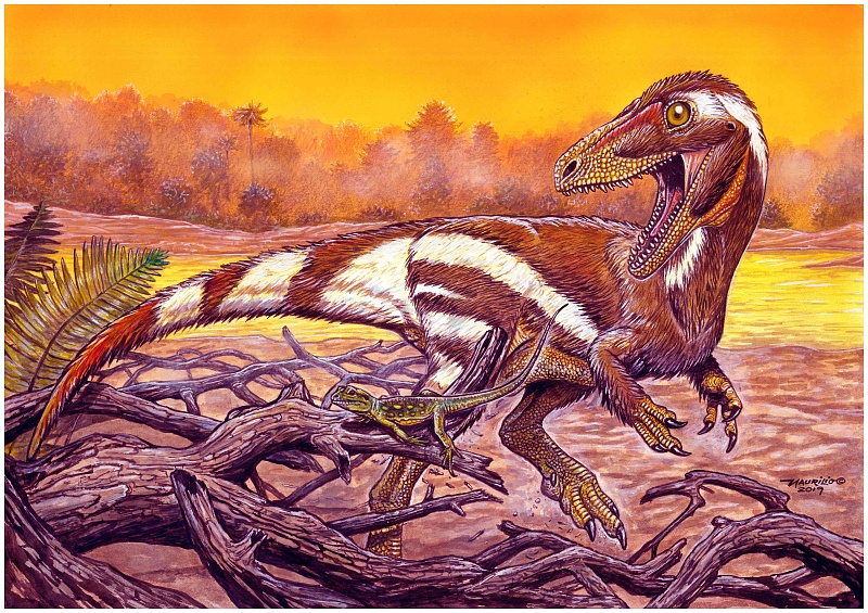 According to archaeologists, this kind of dinosaur is known as the Aratasaurus, a carnivorous dinosaur that lived during the Cretaceous period. /CFP