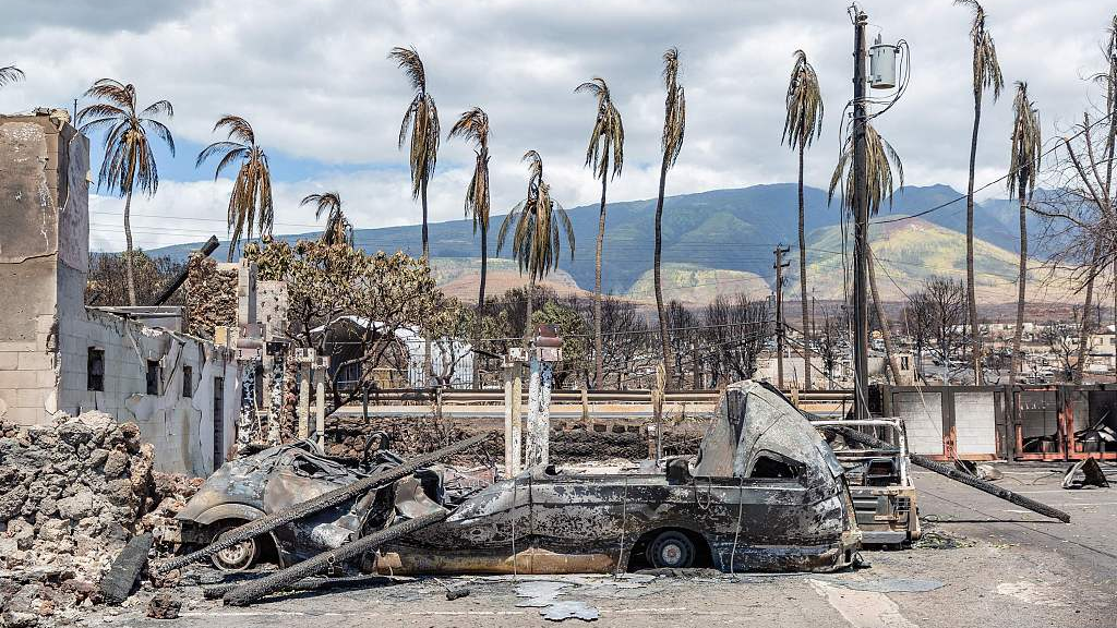 Burned palm trees and destroyed cars and buildings in the aftermath of a wildfire in Lahaina, western Maui, Hawaii, August 11, 2023. /CFP
