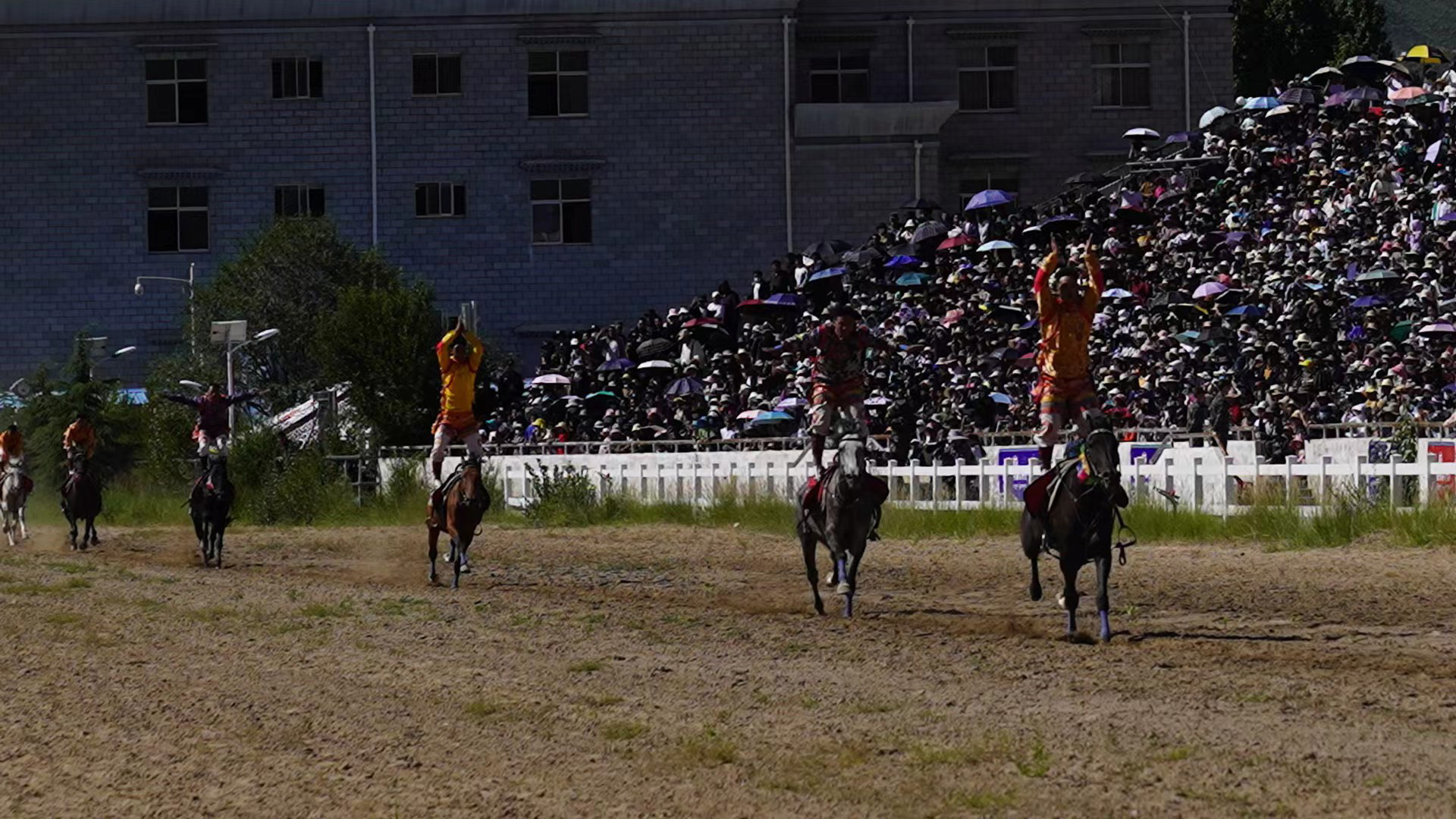 Live: Traditional horse racing during Shoton Festival in Lhasa