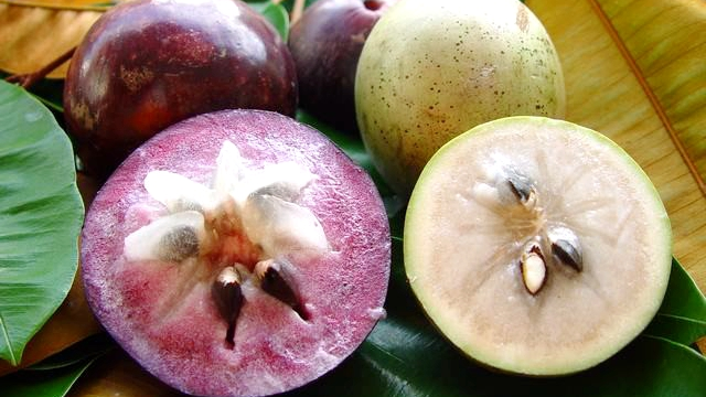 Sampling Thailand's vast array of fruit at a floating market - CGTN