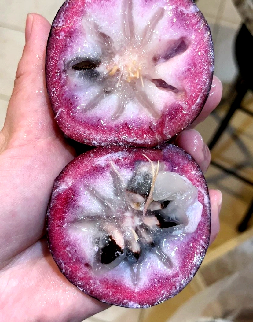 The star apple is a tropical fruit originally from the Caribbean region. In China, it's now grown in Hainan Province. /Photo provided to CGTN