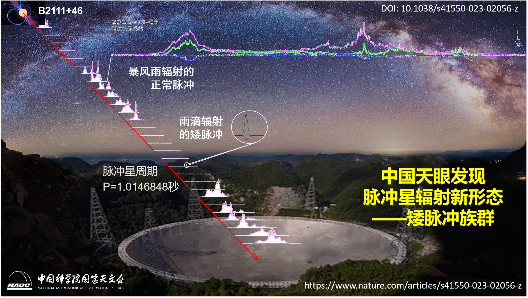 China's FAST telescope detects distinct dwarf pulses from a bright pulsar PSR B2111+46. /NAOC
