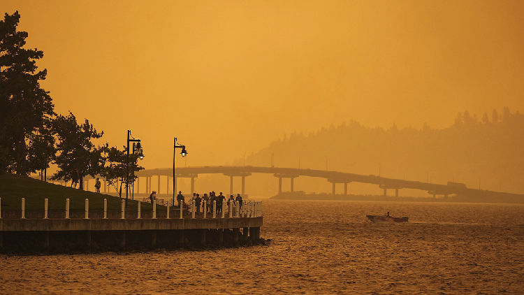 Canada's British Columbia declares state of emergency due to wildfires ...