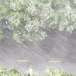 Live: China Issues Blue Alert For Rainstorms - CGTN