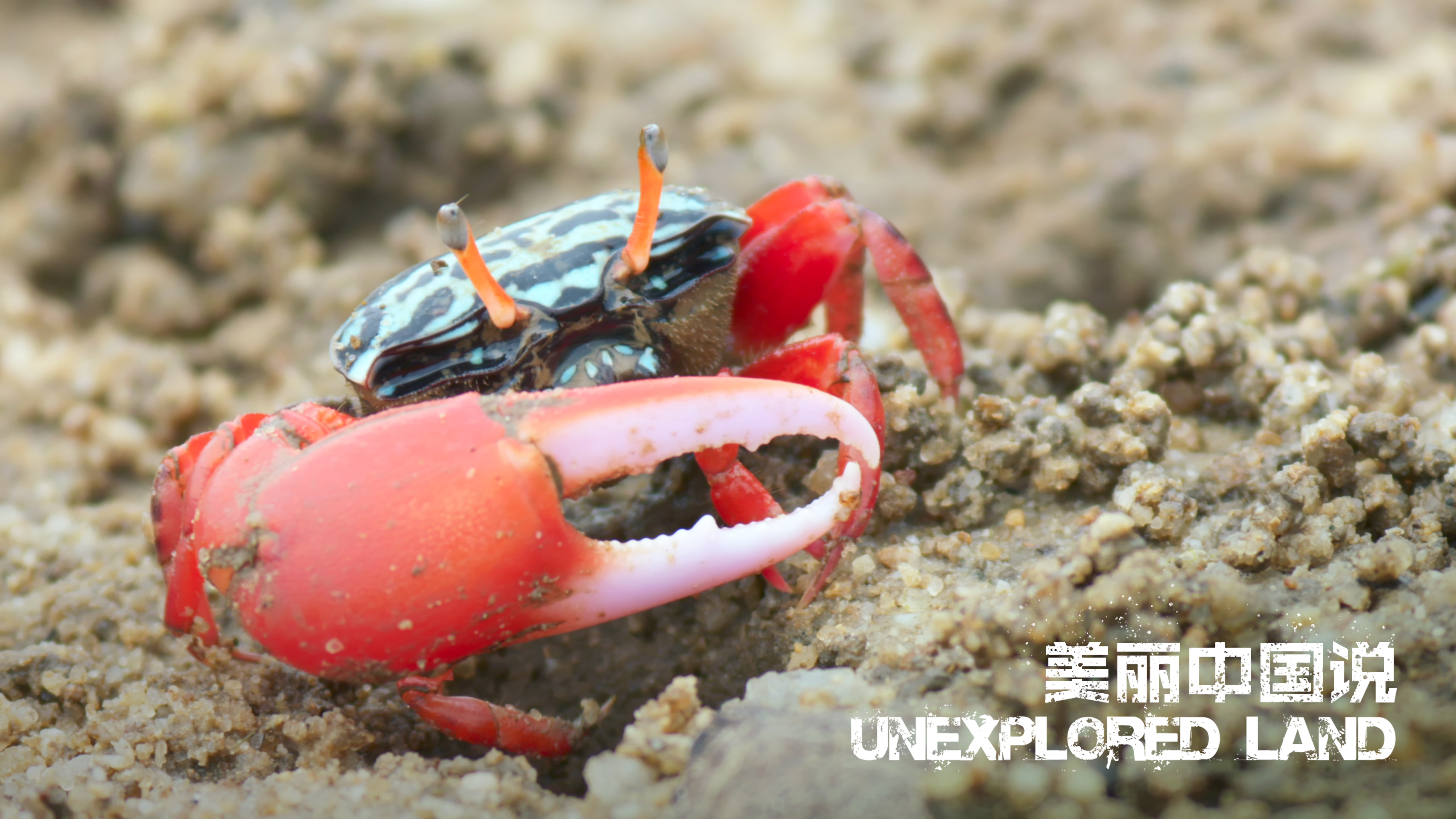 Unexplored Land: Residents of a vibrant coastal zone in S China