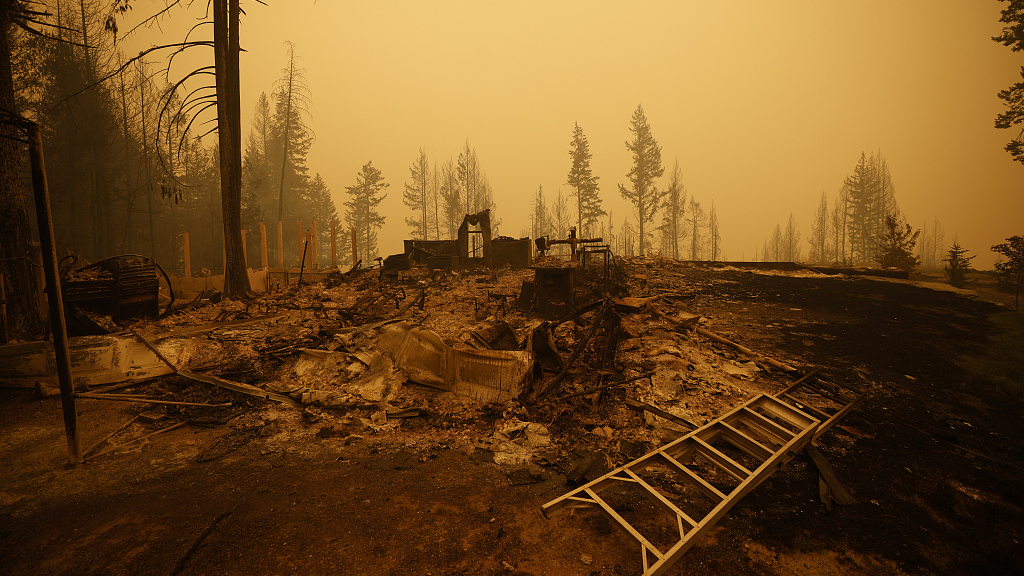 Property and homes razed by a wildfire in Celista, British Columbia, Canada, August 19, 2023. /CFP