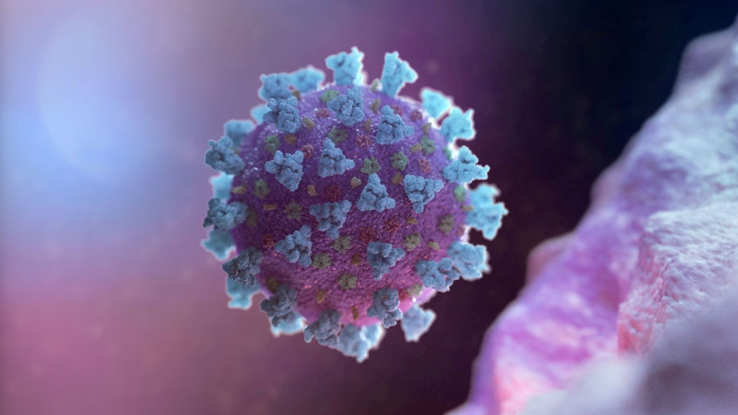 A computer image, created by Nexu Science Communication together with Trinity College in Dublin, shows a model structurally representative of a betacoronavirus which is the type of virus linked to COVID-19, February 18, 2020. /Reuters 