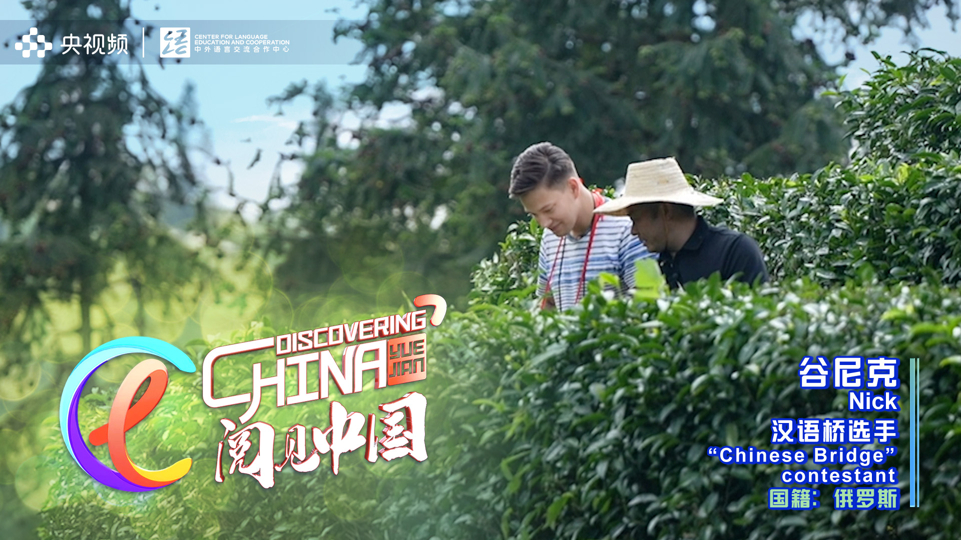 A screenshot shows Nick Gu from Russia trying his hand at picking tea leaves at the Mazhai Tea Garden in Guizhou. /CGTN