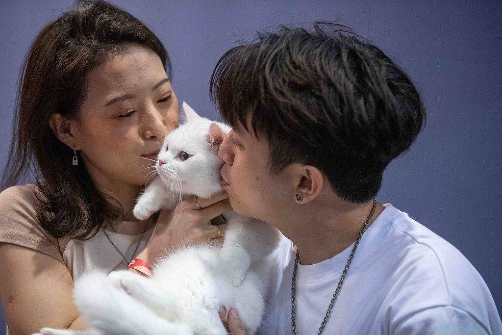 A couple kisses their cat at the Hong Kong Cat Expo on August 25, 2023. /CFP